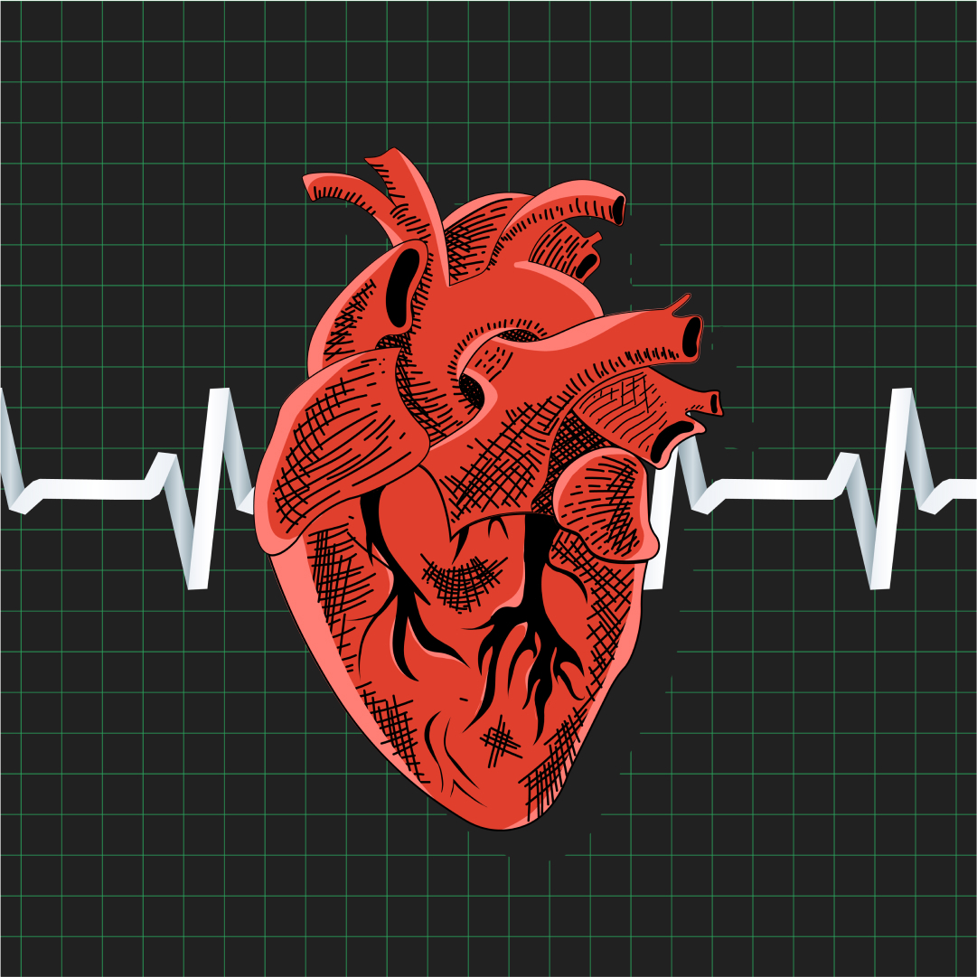 Ne manquez pas un battement en février avec nos conseils cardiovasculaires préférés